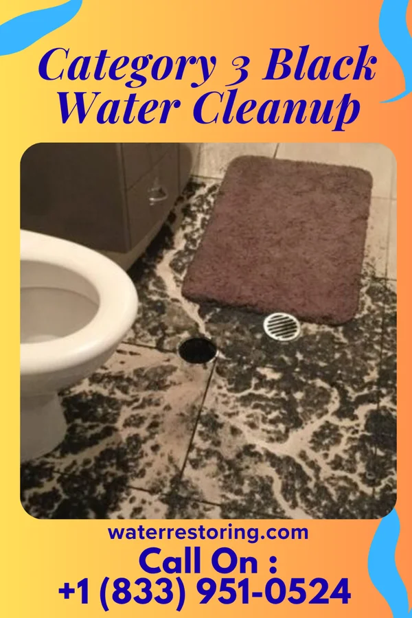 Category 3 Black Water Cleanup in Lower Burrell, PA