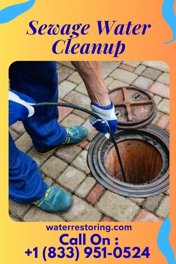 Sewage Water Cleanup in Lower Burrell, PA